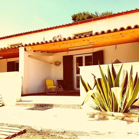 度假居 绿色假日度假屋